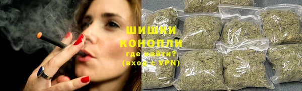 сатива Гусь-Хрустальный