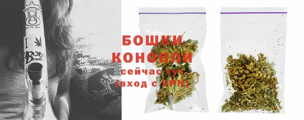 спайс Гусиноозёрск