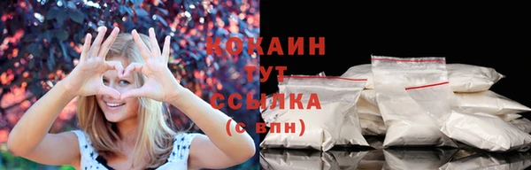 сатива Гусь-Хрустальный