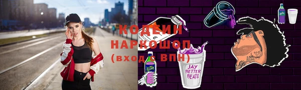 сатива Гусь-Хрустальный