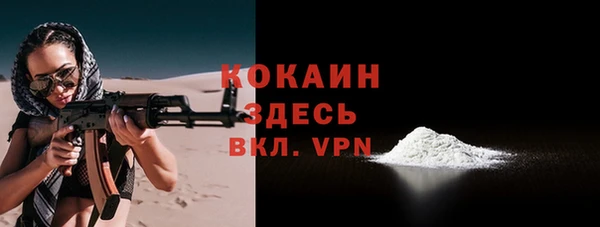 сатива Гусь-Хрустальный