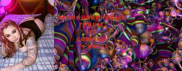 спайс Гусиноозёрск