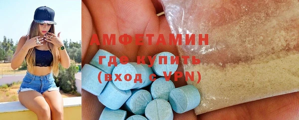 сатива Гусь-Хрустальный
