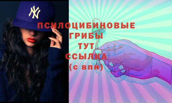 спайс Гусиноозёрск