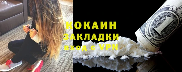 ПСИЛОЦИБИНОВЫЕ ГРИБЫ Горняк