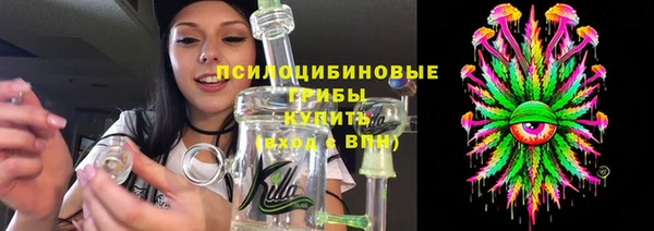 сатива Гусь-Хрустальный