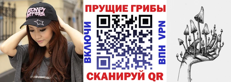 kraken ТОР  Рыбинск  Галлюциногенные грибы GOLDEN TEACHER 